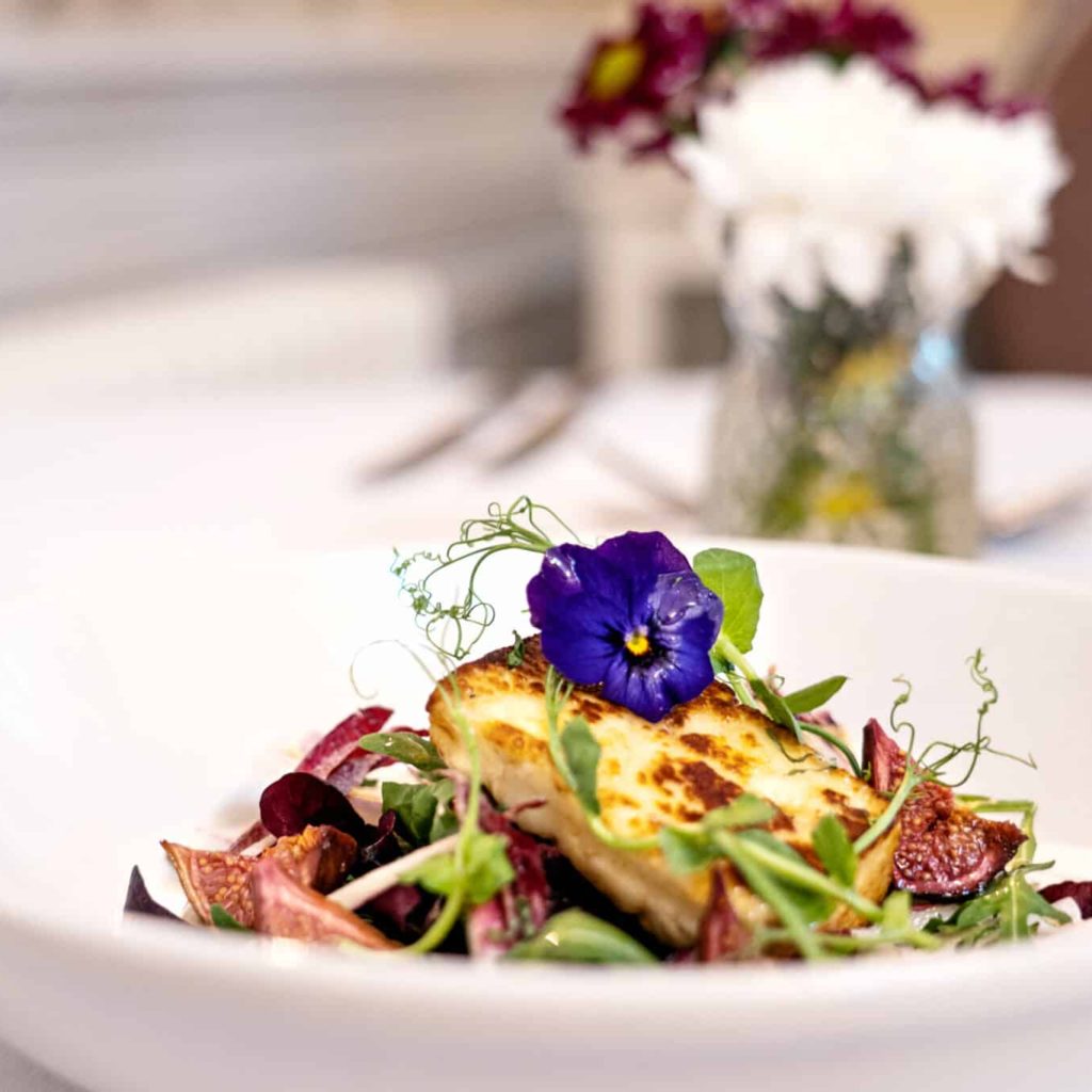 Chicory Salad