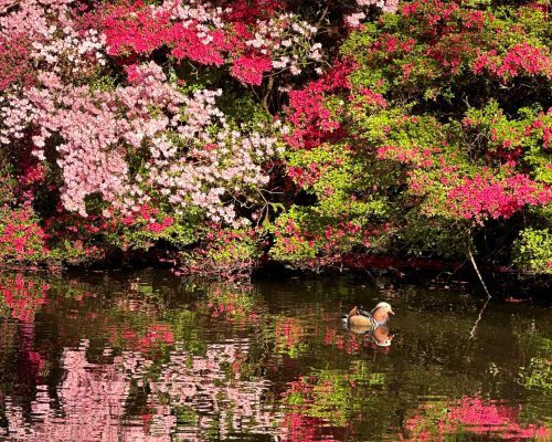 whatsapp image 2026 04 15 at 11.52.36